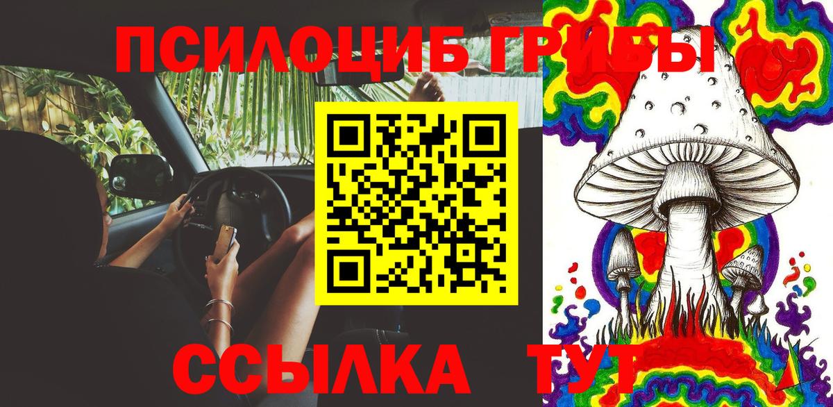 Галлюциногенные грибы прущие грибы Северобайкальск