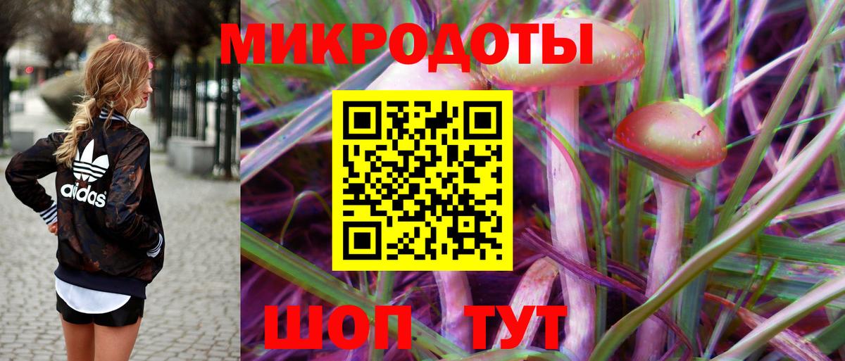 Северобайкальск  Галлюциногенные грибы MAGIC MUSHROOMS  Вход с VPN 